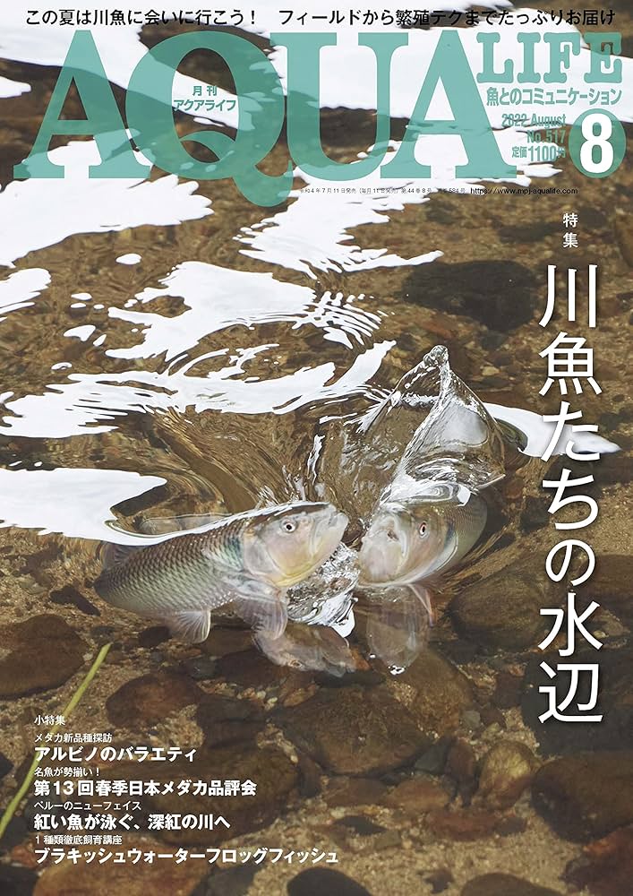 月刊アクアライフ　2022セット売 月刊アクアライフ 2022年01月号 2022年アクアリウム超図鑑800
